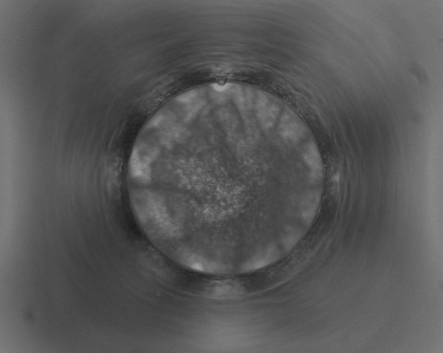 X0000116490275200912292111