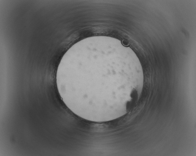 X0000116490277200912292111