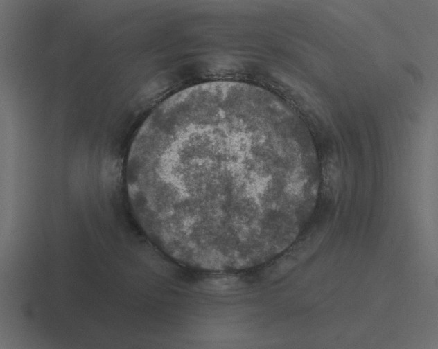 X0000116490278200912292111