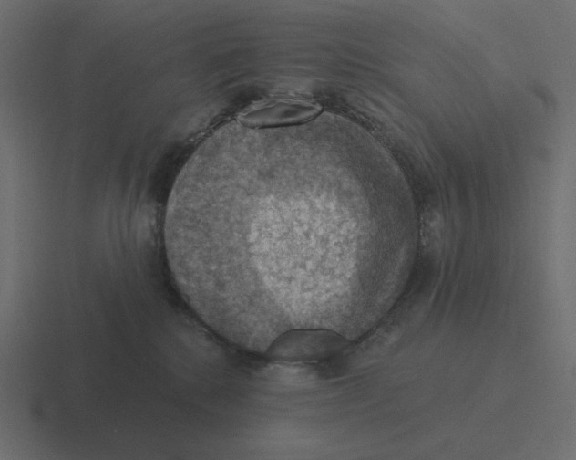 X0000116490280200912292111