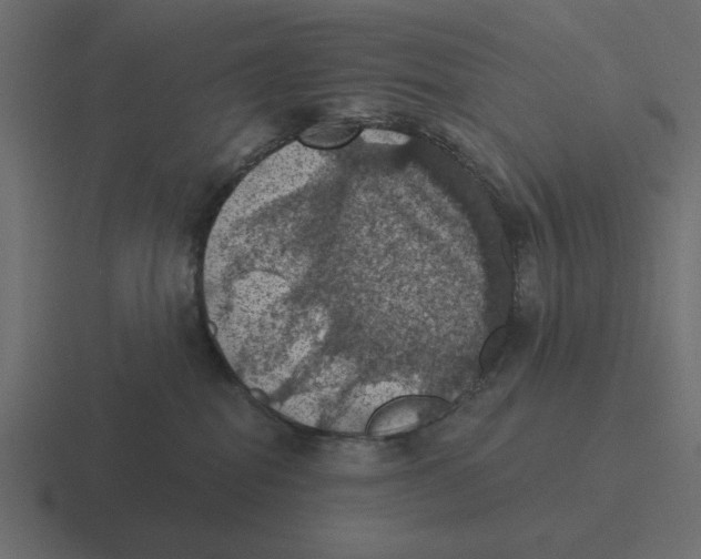 X0000116490282200912292111