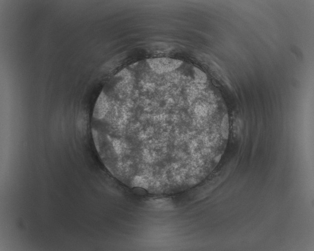 X0000116490283200912292111