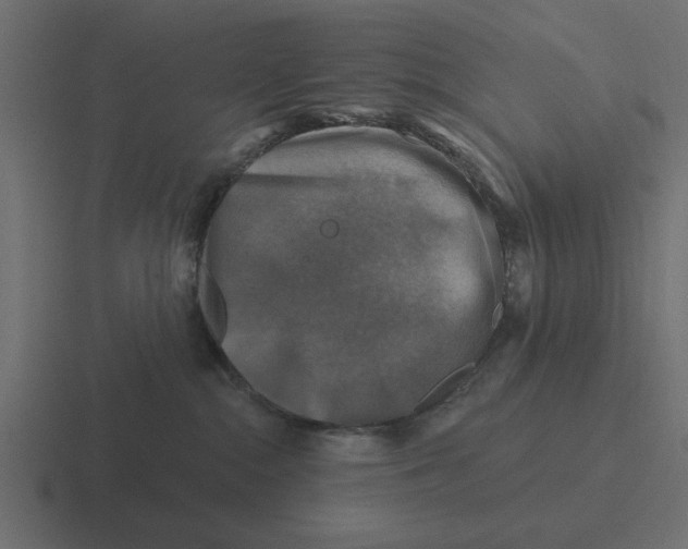 X0000116490284200912292111