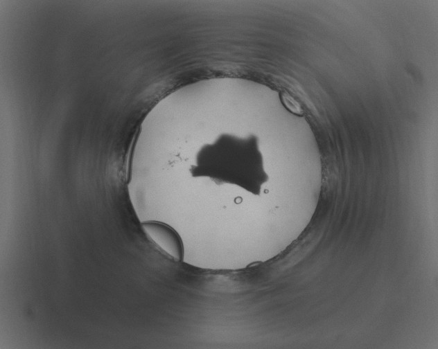 X0000116490285200912292111