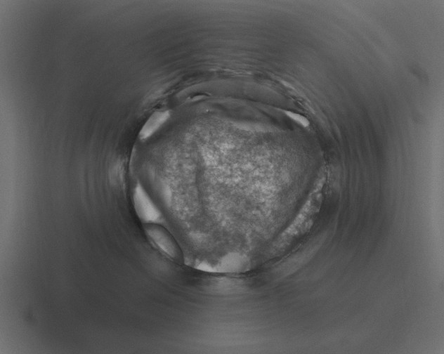 X0000116490286200912292111