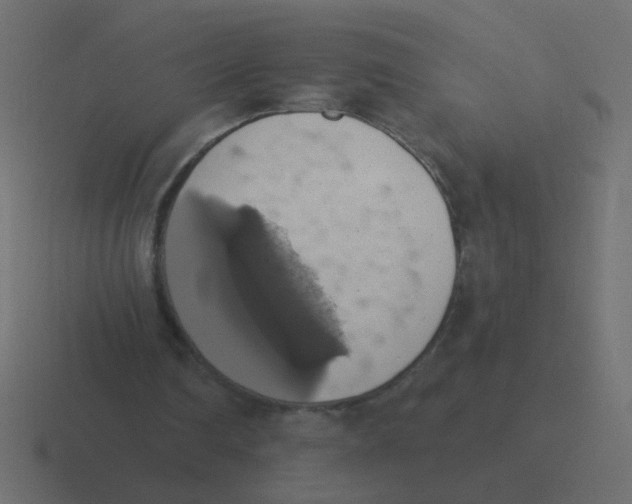 X0000116490290200912292111