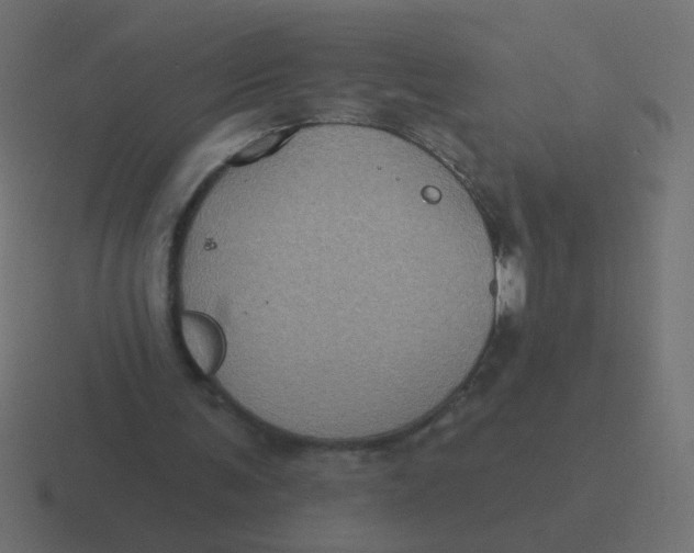 X0000116490291200912292111