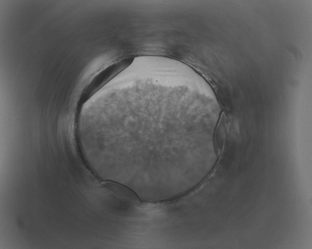 X0000116490293200912292111