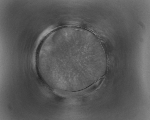 X0000116490294200912292111