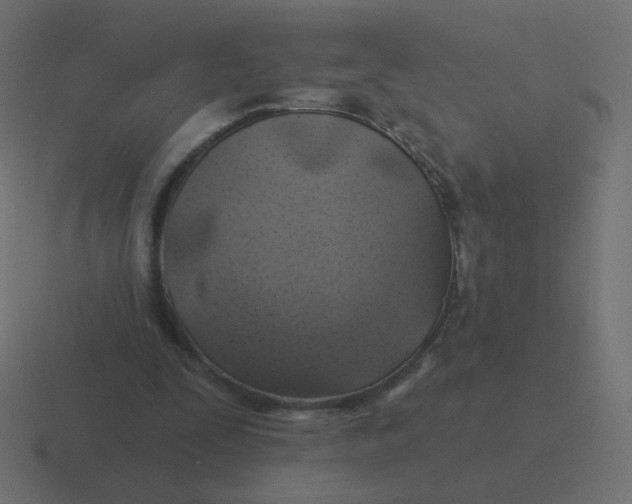 X0000116490295200912292111