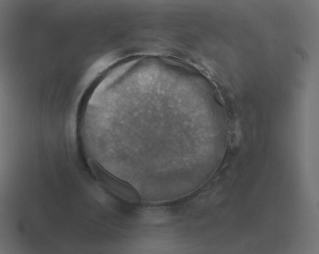 X0000116490296200912292111