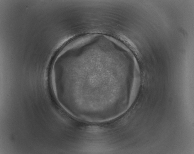 X0000116490298200912292111