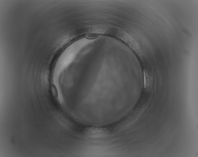 X0000116490300200912292111