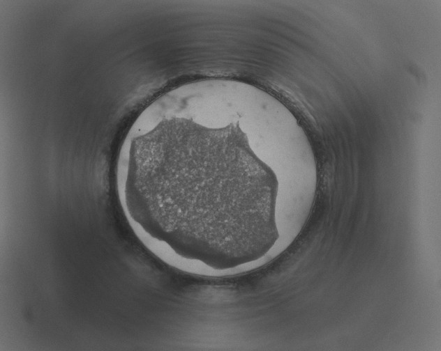 X0000116490303200912292111