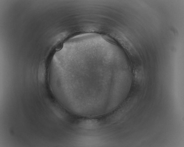 X0000116490304200912292110