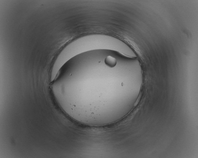 X0000116490305200912292110