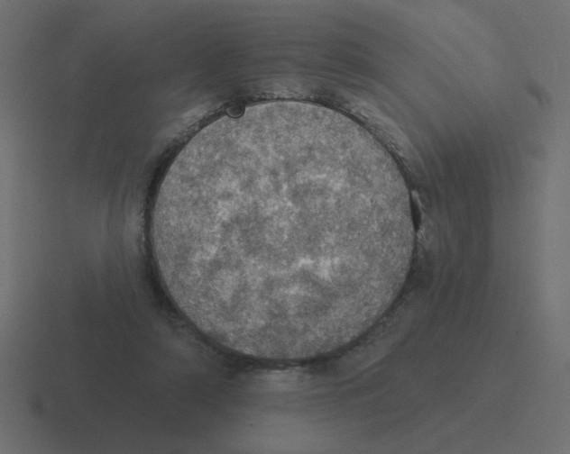 X0000116490306200912292110