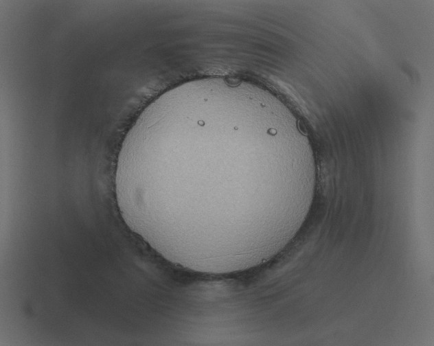 X0000116490307200912292110