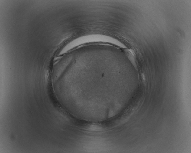 X0000116490308200912292110