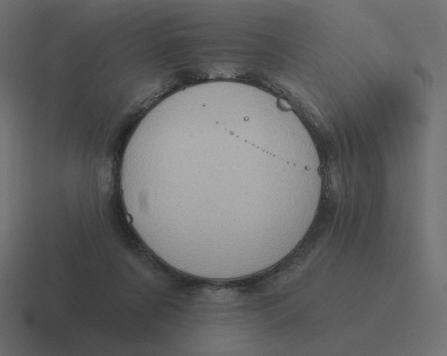 X0000116490311200912292110