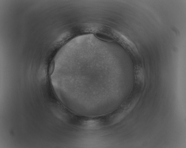 X0000116490312200912292110