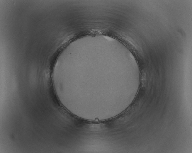 X0000116490314200912292110