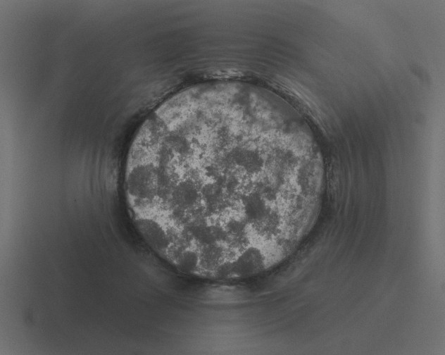 X0000116490315200912292110