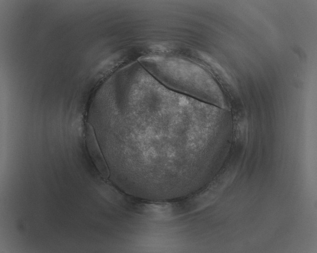 X0000116490317200912292110