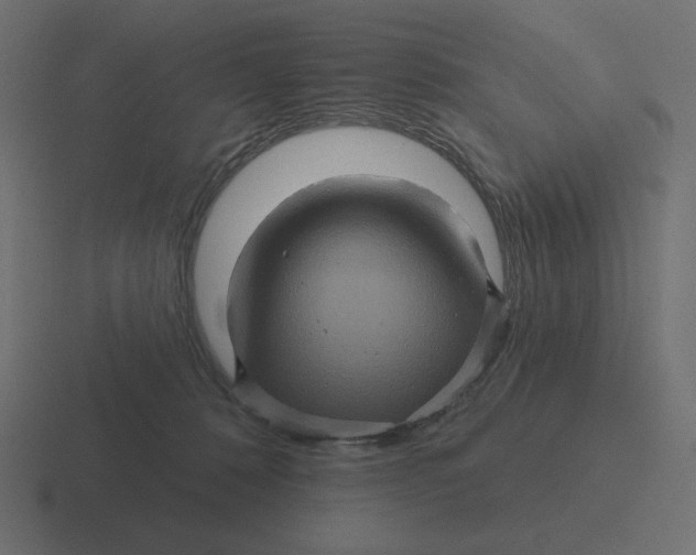 X0000116490320200912292110