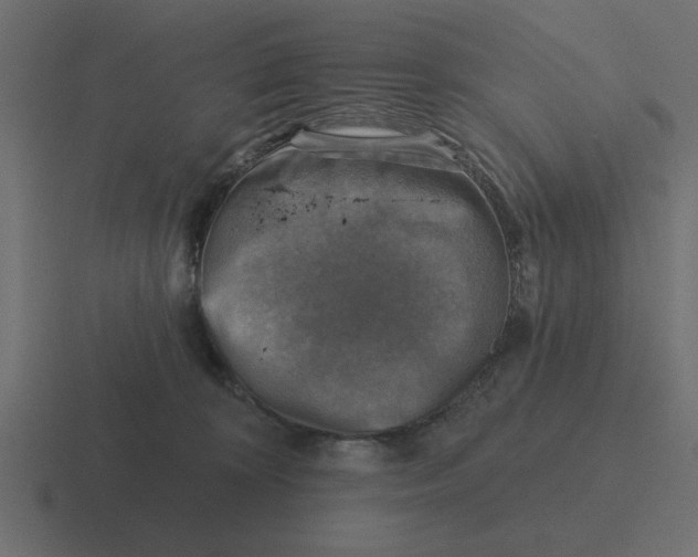 X0000116490324200912292110