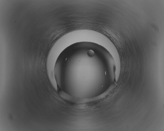 X0000116490325200912292110