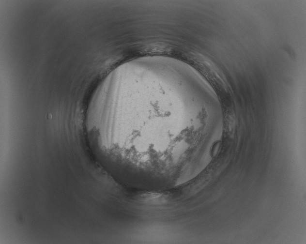 X0000116490326200912292110