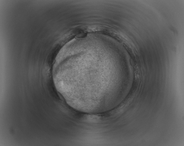 X0000116490327200912292110