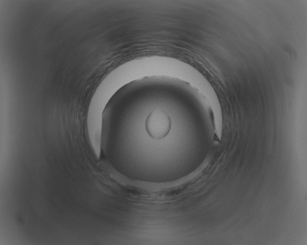 X0000116490328200912292110