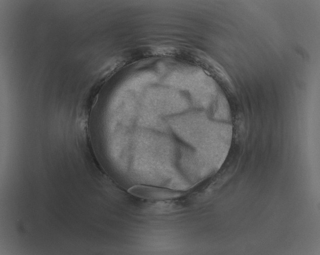 X0000116490329200912292110