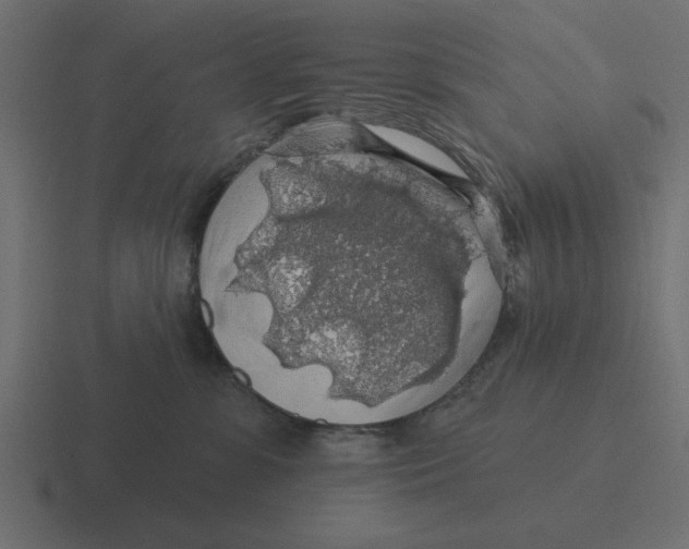 X0000116490331200912292110