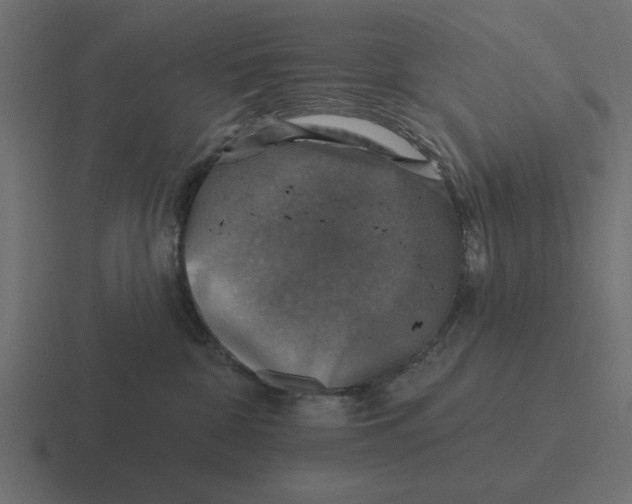 X0000116490332200912292110