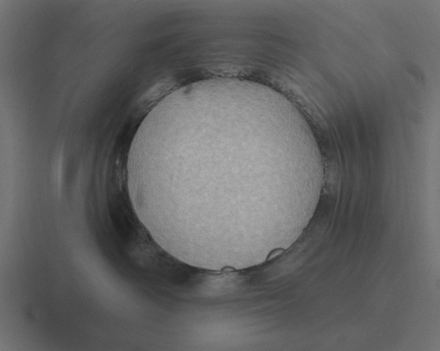 X0000116490334200912292110