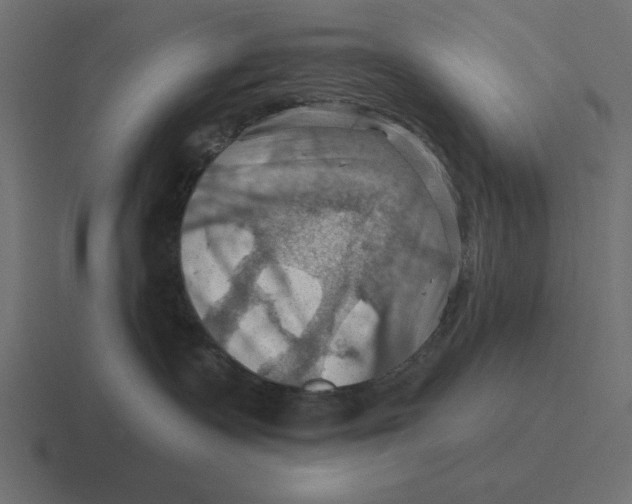 X0000116490335200912292110