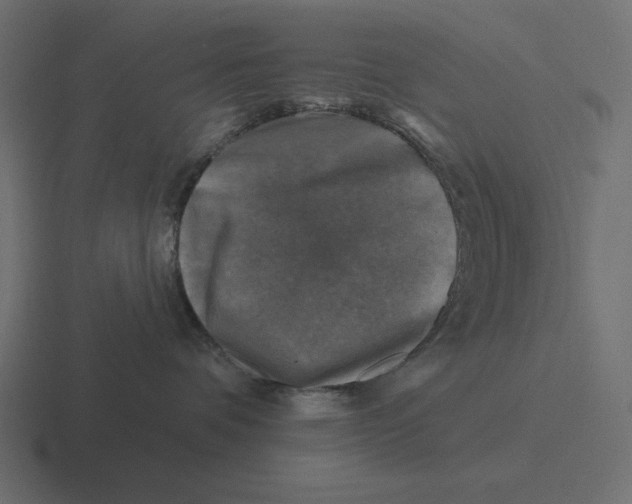 X0000116490336200912292110