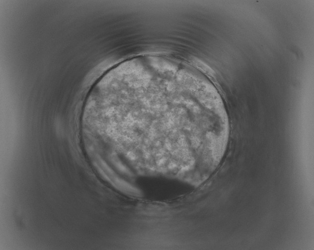 X0000116490337200912292109