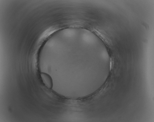 X0000116490339200912292110