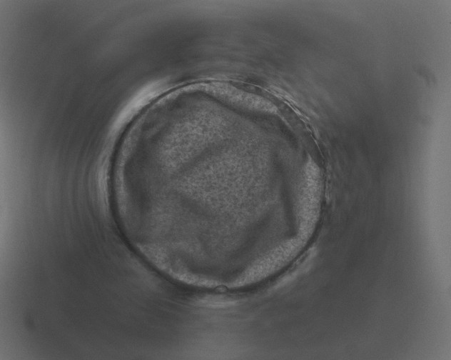 X0000116490341200912292110