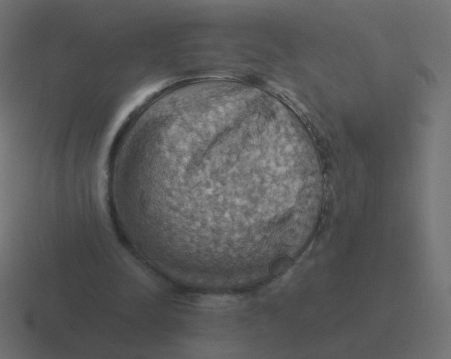 X0000116490342200912292110