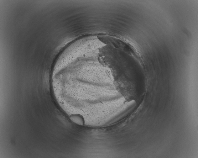 X0000116490345200912292110