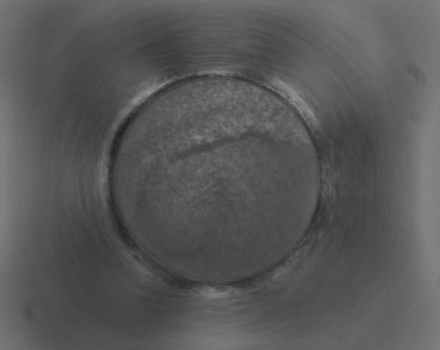 X0000116490346200912292110