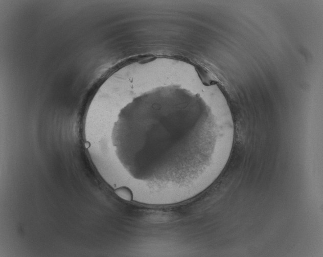 X0000116490347200912292110