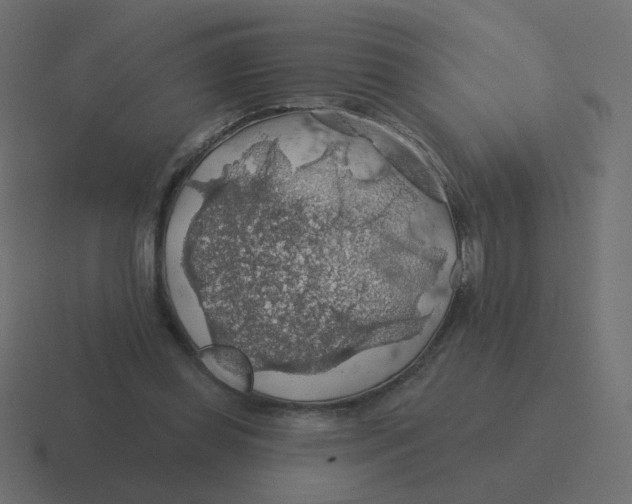 X0000116490349200912292110