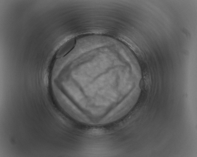 X0000116490350200912292110