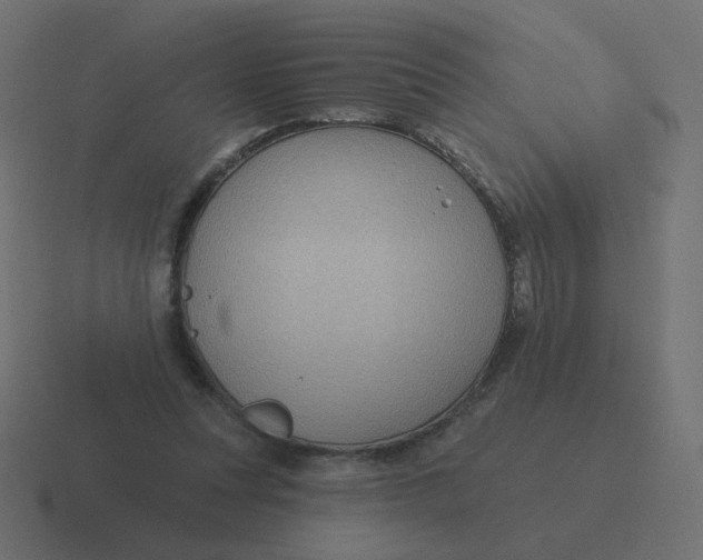 X0000116490351200912292110